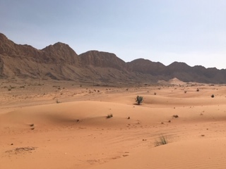 Christian Contemplative Tradition desert