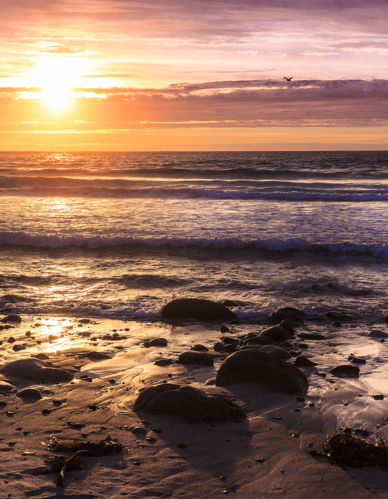 Jon_Thompson_Sennen_Cove_2016_16 sunset